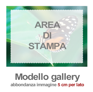 area_di_stampa_gallery