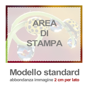 area_di_stampa_standard